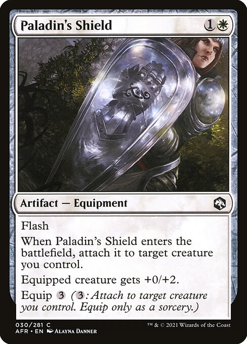 Paladin's Shield #30 [AFR] [ENG] NM