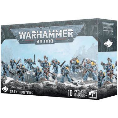 Space Wolves: Grey Hunters