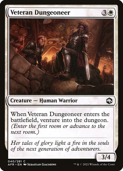Veteran Dungeoneer #40 [AFR] [ENG] NM