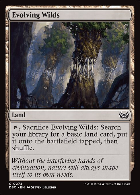 Evolving Wilds #274 [DSC] [ENG] NM