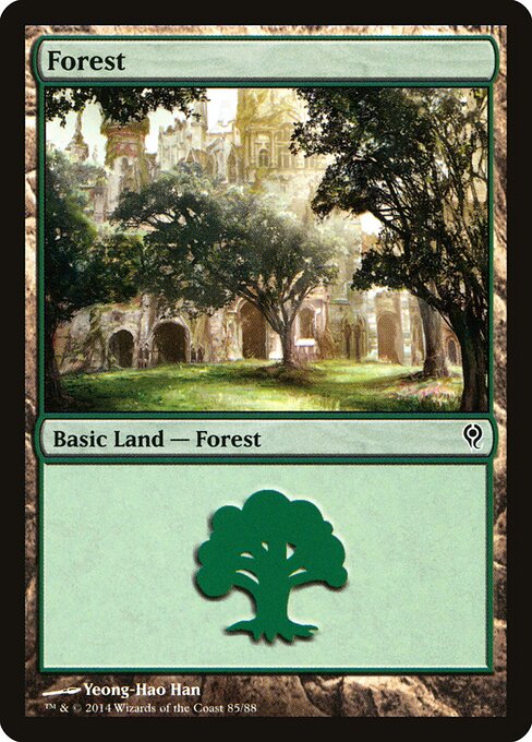 Forest #85 [DDM] [ENG] NM