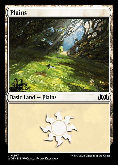 Plains #267 [WOE] [ESP] NM